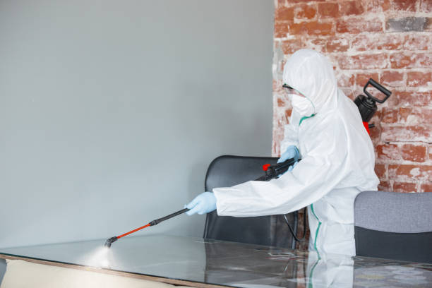 Mold Odor Removal Services in Cleona, PA